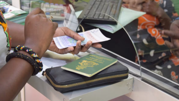 Sénégal. 2.000 milliards de FCFA transférés en un an: entre soutien de famille et investisseur, quel rôle pour la diaspora?