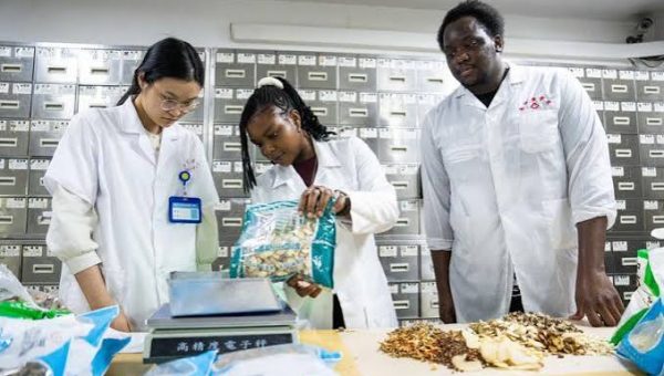 Études en Chine : le difficile retour au bercail des étudiants boursiers sénégalais ( 1ére Partie)