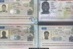 Faux visas Schengen et américains : jusqu’à six millions de FCFA versés, deux suspects devant la justice