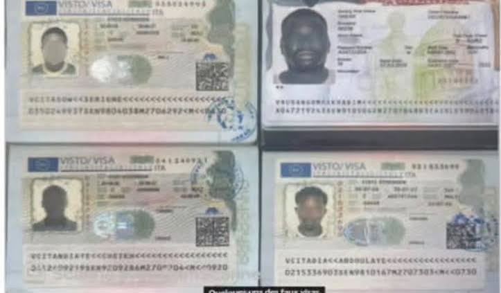 Faux visas Schengen et américains : jusqu’à six millions de FCFA versés, deux suspects devant la justice